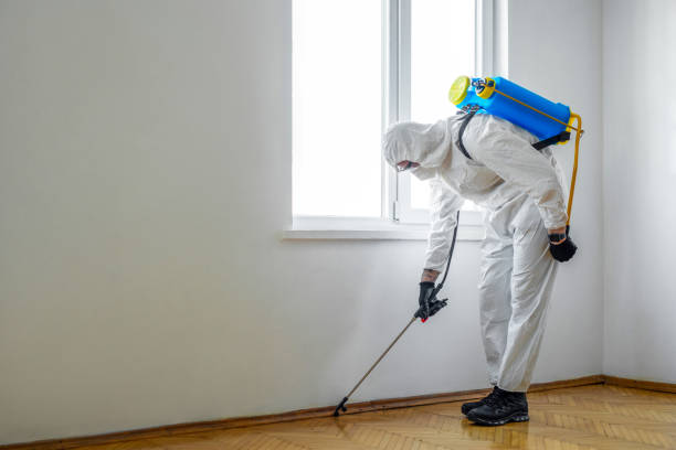 Pest Control for Warehouses in Henagar, AL